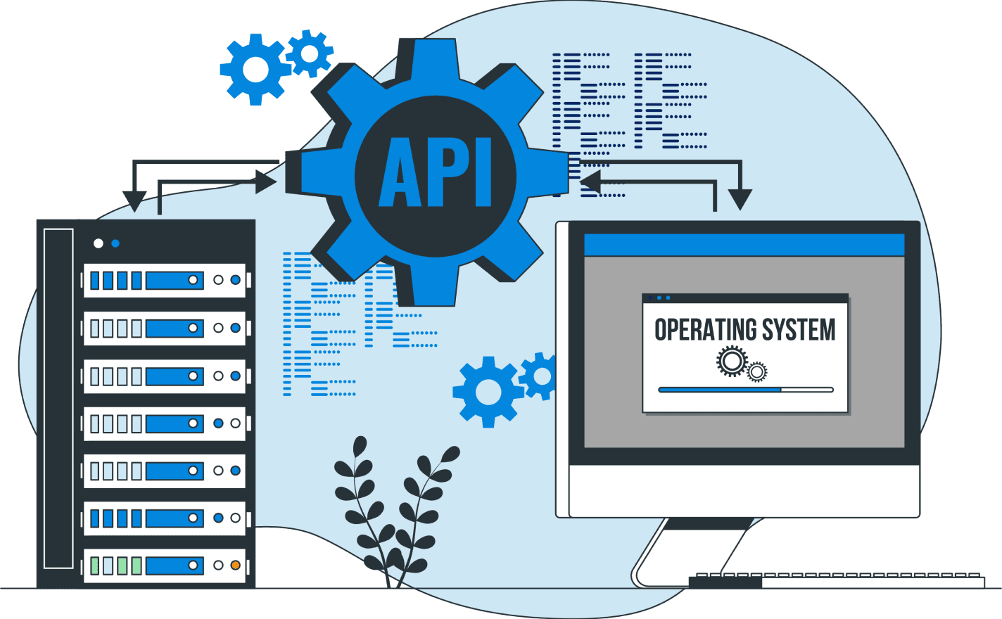 api